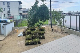 大阪府豊中市のお庭リフォームで植栽工事