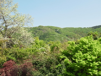 造園の家業と父のこと