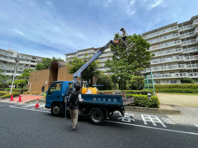 吹田市で植木の消毒作業の様子