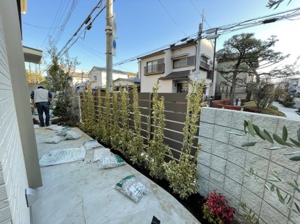 フェンスと植え込み