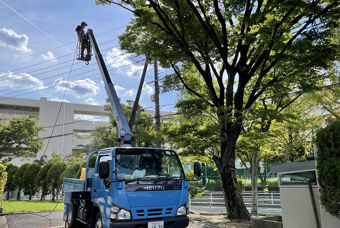 吹田市で庭植木の害虫消毒　薬剤散布