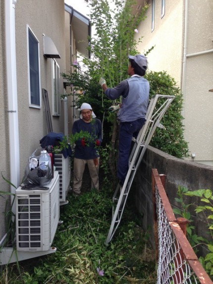 夏の植木職人