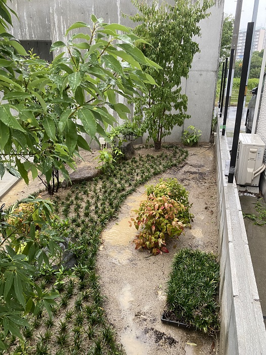夏から秋にかけて