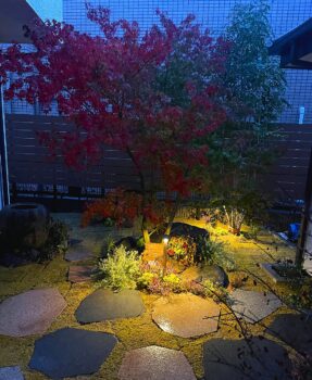 夜も楽しめるように照明を仕込むことが多く今回も中庭をよりうつくしく昼間と印象が違って見えるように考えてレイアウトしました