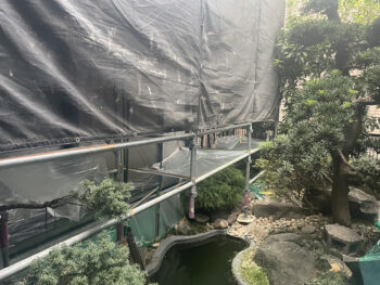 工事前のお庭の様子です。和風の古典的な造園で石や池がありました